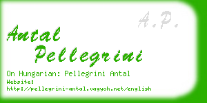 antal pellegrini business card